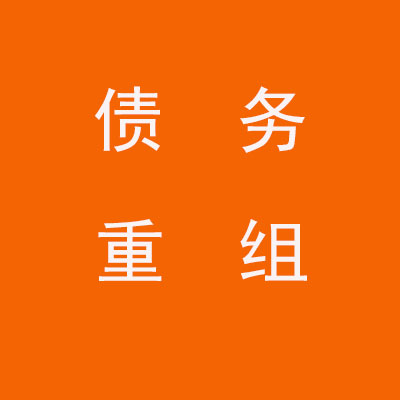 竞秀个人债务重组优化